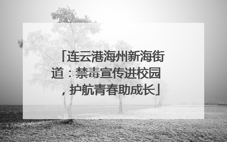 连云港海州新海街道：禁毒宣传进校园，护航青春助成长